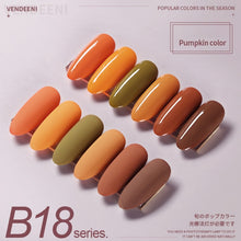 Load image into Gallery viewer, Vendeeni 115 Styles Gel Nail Polish Kits 6 Colors/Set Sequin Glitter Cat Eye UV LED Nail Gel Lacquer Set Pure Color Gel Varnish|Nail Gel|